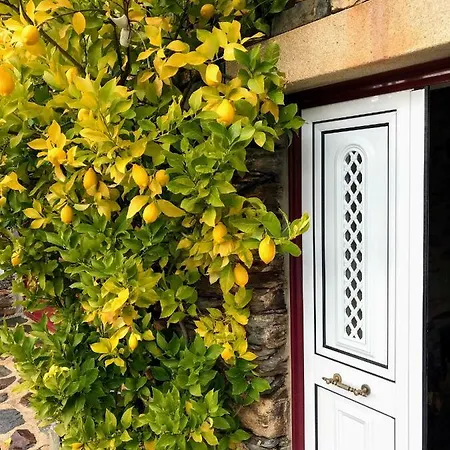 Σπίτι διακοπών Casa Da Escola Antiga Manteigas