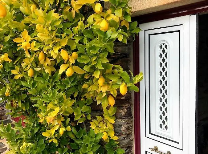 Σπίτι διακοπών Casa Da Escola Antiga Manteigas